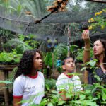 Escola em Brazlândia tem o meio ambiente como centro das atividades