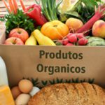 produtos-organicos