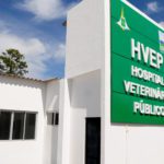 Hospital Veterinário Público inicia atendimentos em Brasília
