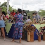 Foto Luís Tajes_Setur-DF (3)