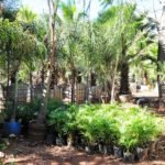 50286828373_1b4ce00c49_k