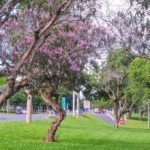 50286844788_69c1193e58_b