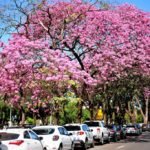 50287523596_53e3c0f74b_b