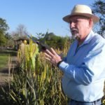 folha do aloe vera e rogerio