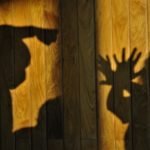 50411850822_23ba9df9ef_c