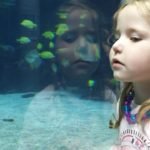 divulgacao_kawa_fish_aquarismo