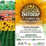curso-agrofloresta-girassol