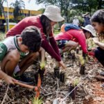 49551913108_382e47d0be_c