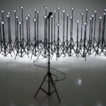 51389658444_a4768611ec_z