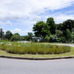 51943924193_418d1febcd_c