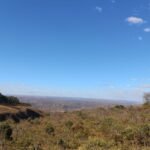 Foto semana do cerrado 13