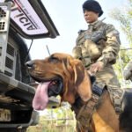 BPCaes-Foto-Lucio-Bernardo-Jr-1-1536×1077