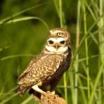 PHOTO-2023-09-11-17-58-56