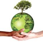 terra_cuidado_sustentabilidade-1132×670