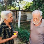 delfini credito acervo pingo dagua