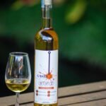 755d48ee-196c-4653-901f-88640ada8d2a