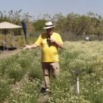 WhatsApp Image 2025-08-28 at 15.30.19 (2)