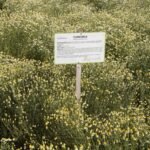 WhatsApp Image 2025-08-28 at 15.30.19 (3)