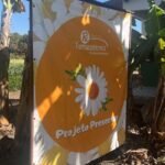 WhatsApp Image 2025-08-28 at 15.35.25