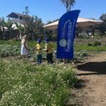 WhatsApp Image 2025-08-28 at 15.35.25 (3)