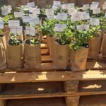 WhatsApp Image 2025-08-28 at 15.35.27 (2)