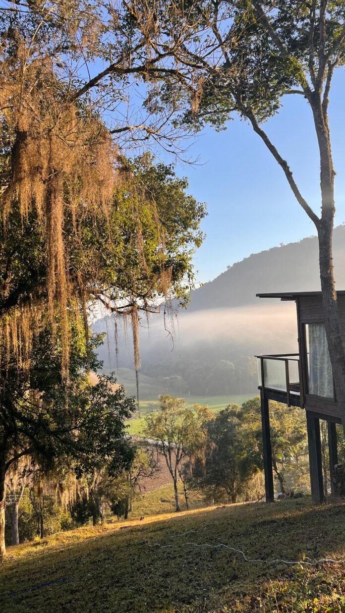 ce1cd17b-b0ef-4003-84f5-8b575ac0e22e