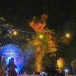 88165d33-9f88-4fdf-b6e5-383a5cc5d846