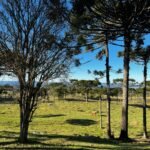 WhatsApp Image 2025-10-30 at 14.26.41