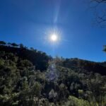 WhatsApp Image 2025-10-30 at 14.26.42 (2)