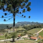 WhatsApp Image 2025-10-30 at 14.26.42 (3)