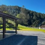 WhatsApp Image 2025-10-30 at 14.26.43 (3)