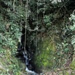 WhatsApp Image 2025-10-30 at 14.26.44 (2)