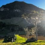 WhatsApp Image 2025-10-30 at 14.26.44 (4)