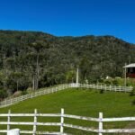 WhatsApp Image 2025-10-30 at 14.26.45 (1)