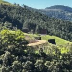 WhatsApp Image 2025-10-30 at 14.26.45 (3)