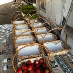 WhatsApp Image 2025-10-30 at 14.26.45 (4)