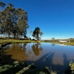 WhatsApp Image 2025-10-30 at 14.26.46