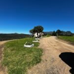 WhatsApp Image 2025-10-30 at 14.26.47 (1)