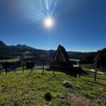 WhatsApp Image 2025-10-30 at 14.26.47 (4)