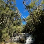 WhatsApp Image 2025-10-30 at 14.26.47 (5)