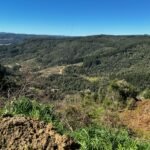 WhatsApp Image 2025-10-30 at 14.26.49