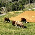 WhatsApp Image 2025-10-30 at 14.26.50 (1)