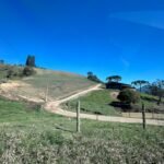 WhatsApp Image 2025-10-30 at 14.26.53 (1)