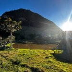 WhatsApp Image 2025-10-30 at 14.26.53 (2)