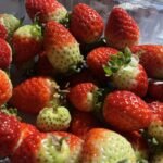 WhatsApp Image 2025-10-30 at 14.26.53 (3)