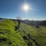 WhatsApp Image 2025-10-30 at 14.26.54 (1)